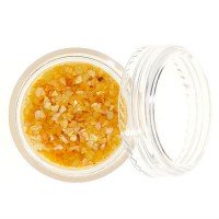 Ракушка Морская №17