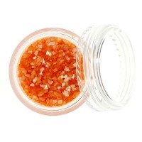 Ракушка Морская №24