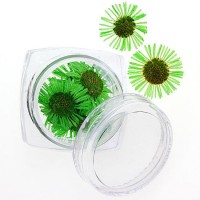 Сухоцветы №87